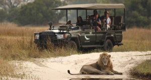 Safari Tanzânia